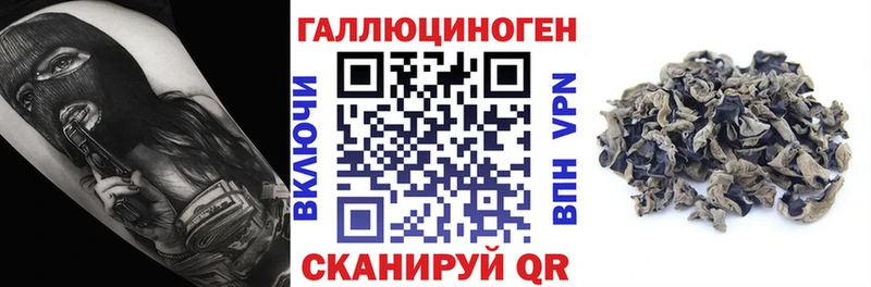 магазин продажи   MEGA маркетплейс  даркнет формула  Долгопрудный  Псилоцибиновые грибы MAGIC MUSHROOMS 