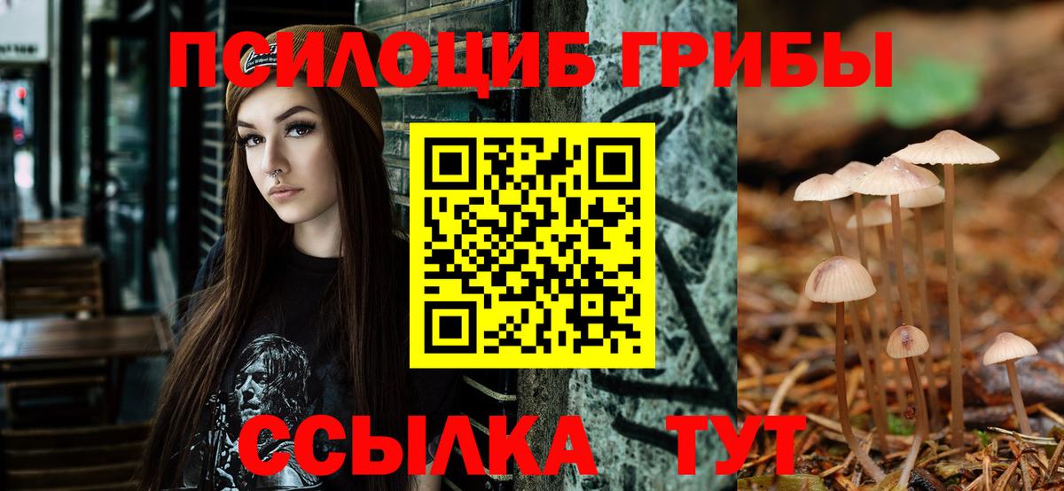 Псилоцибиновые грибы ЛСД  Долгопрудный 
