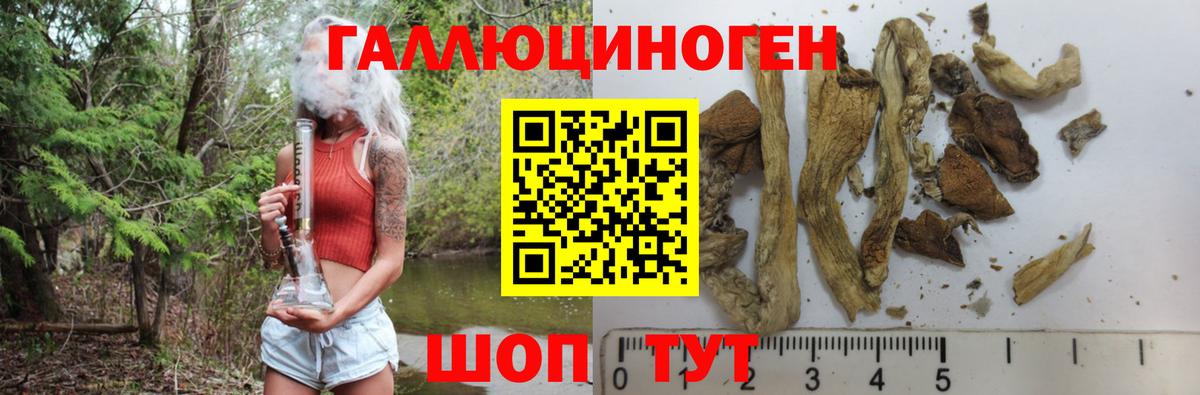 Долгопрудный  Галлюциногенные грибы мухоморы  Вход с VPN 